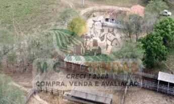 Imagem 7: Fazenda em Jeremoabo