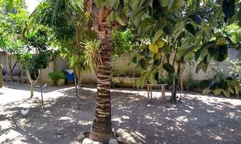 Imagem 4: Ótima casa com 1000m² de quintal!