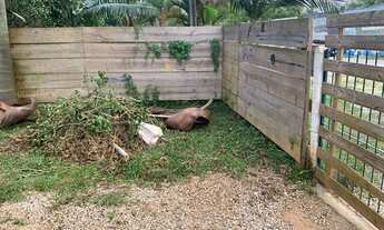 Imagem: Casa de 2 dormitórios em terreno individual