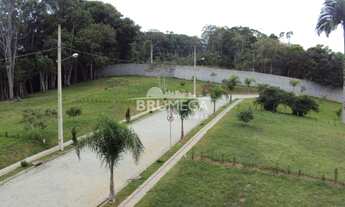 Imagem 5: Brusque - Terreno Padrão - Dom Joaquim