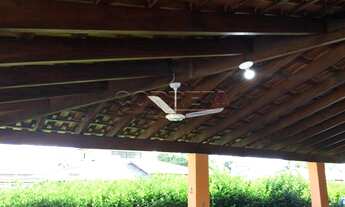 Imagem 7: Santo Antônio do Aracanguá - Fazenda/Sítio - Macaúba