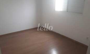 Imagem 7: São Paulo - Apartamento Padrão - Cambuci