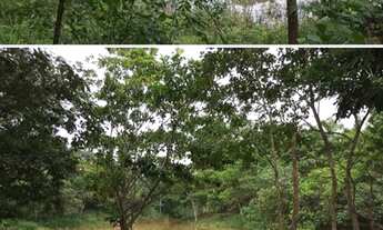 Imagem: Fazenda Riacho das Pedras 274 hectares 2