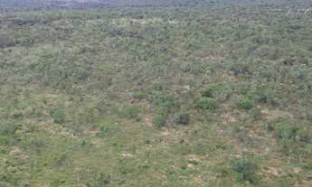 Imagem 4: FAZENDA PRA LARANJA COM 7.000HECTARES, BARATA!!