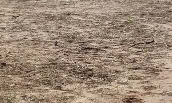 Imagem 7: Sitio em Ruilandia 300 metros da cidade