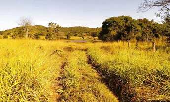 Imagem 6: Fazenda de 125 alqueires em Bom Jardim de Goias-Go