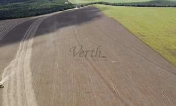 Imagem 3: Fazenda à venda, 1400ha, Nova Mutum, - MT