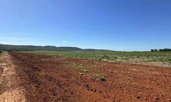 Imagem 2: FAZENDA COM 580HEC COMPLETA, ALTO POTENCIAL!!