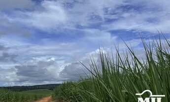 Imagem 4: Fazenda em Mineiros-GO. (208 Alqueires