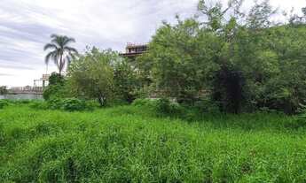 Imagem 3: EXCLENTE TERRENO NA SC 401 -- FLORIANOPIOLIS/SC