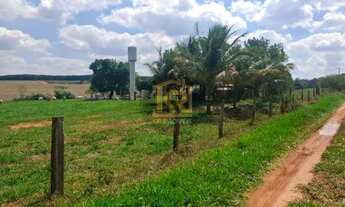 Imagem 4: CEDRAL (SP) Sítio com 2 alqueires