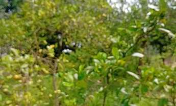 Imagem 3: Sítio porteira fechada