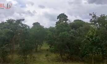 Imagem 2: Fazenda para Venda em Centro Chapada Gaúcha-MG