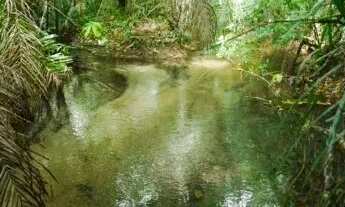 Imagem 3: Unidades finais para investidores que buscam lucro