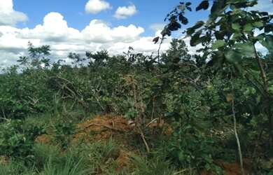 Imagem 16: Fazenda a venda Fazenda / sítio com venda por R$15.000.000