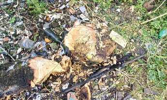 Imagem 7: Terreno 6x12 perto do aeroporto em rio largo