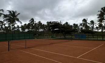 Imagem 2: Lote maikai, melhor oferta^