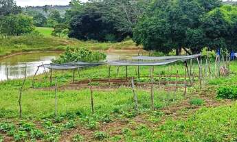 Imagem 7: Vendo sítio /troco em sítio menor valor