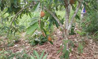 Imagem 7: Sitio a venda Chácara com venda por R$150.000