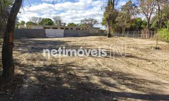 Imagem 7: LOTE PLANO BAIRRO ARBORIZADO