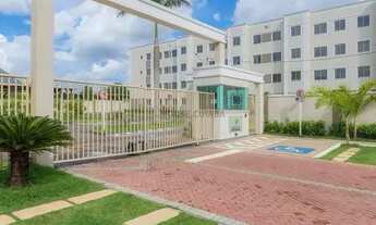 Imagem 7: Vendo Apto 2 quartos - LINDO - Pronto para Morar - Chap. Bandeirantes