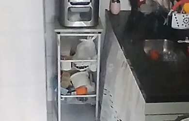 Imagem 5: Apartamento térreo no jardim cidade universitária!!