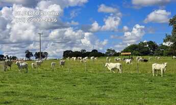 Imagem: Bela fazenda montada para pecuaria no Vale