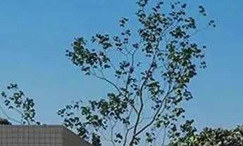 Imagem 4: Urban Blue View - Seu novo FRENTE MAR de Alto Padrão