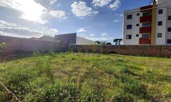 Imagem 2: Terreno no bairro Vargem Grande - Pinhais/PR