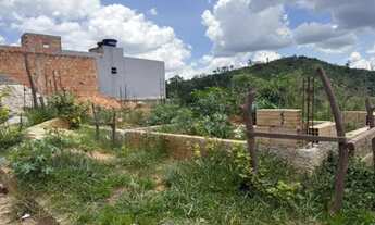 Imagem 2: Meio Lote Castanheira Santa Luzia