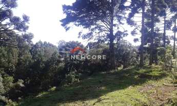 Imagem 2: Lote em Rua dos Pessegueiros - Campo do Meio - São Francisco de Paula/RS