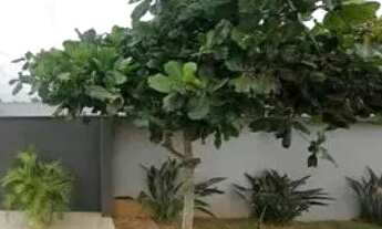 Imagem 4: CASA RESIDENCIAL em JABOTI - PR, CENTRO