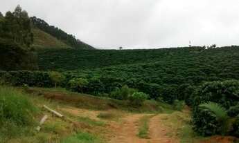 Imagem 3: Sítio lindo perto da BR 262