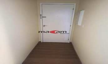 Imagem 5: Moema pássaros próximo a rouxinol