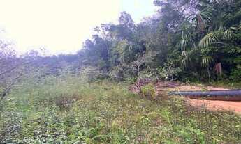 Imagem 4: Vendo Excelente Terreno Ramal do Caniço - KM 21, Manaus