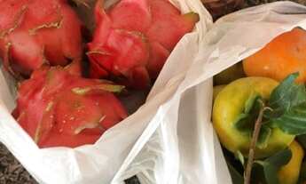 Imagem 3: Chacara na Beira do Rio Mogi Guaçu