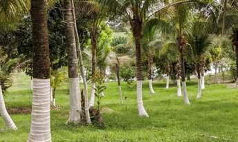 Imagem: Chácara Vendo ou troco