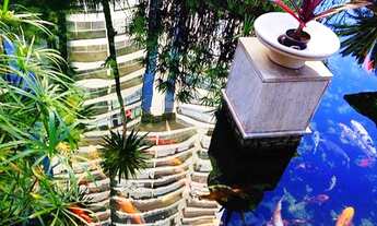 Imagem 5: Sensacional Mandarim, Super Lazer e Serviços, Prédio Referencia no bairro, Excelente Inves