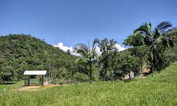 Imagem: Sítio a venda na Colônia Santana em São