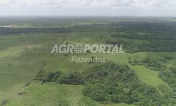 Imagem 4: Fazenda no Pará - Mãe do Rio - PA