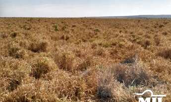 Imagem: Fazenda p/ Soja em Guaraí-TO. gt 545