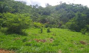 Imagem 5: Vende-se uma excelente fazenda de 74 Alqueires