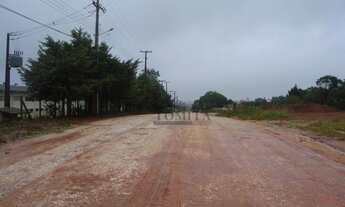 Imagem 5: TERRENO PLANO - 6.075,00 M2 -- São Dimas - Colombo/PR