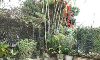 Imagem 5: SãO PAULO - Casa Padrão - Jardim Guedala