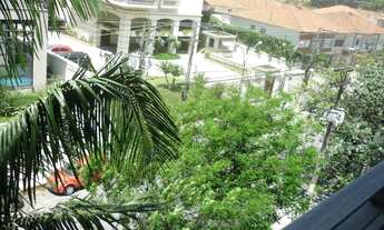 Imagem 4: PINHEIROS LINDEMBERG