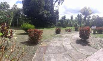 Imagem 4: VENDO SÍTIO NA BR174- KM16