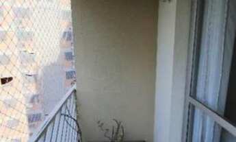 Imagem 4: Vila Mascote, São Paulo - SP