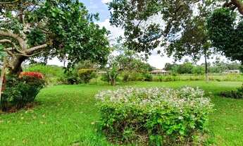 Imagem 4: Sitio na localidade de Murutuba, proximidades do Município de Cachoeira, 7 tarefas