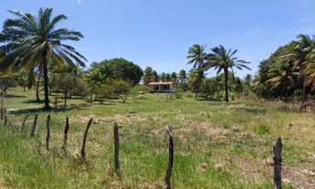 Imagem 2: Vende-se uma granja com 2 ha com rio perene - Povoado de Caiana - Ceará Mirim - RN