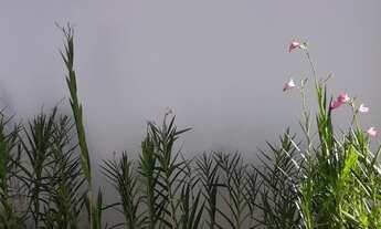 Imagem 6: Casa à venda no Condomínio Residencial Mont'Alcino em Valinhos/SP